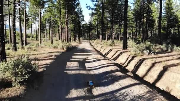 Slow Motion Drone Chases Electric Car Shaded Dirt Road Forest — Stok video