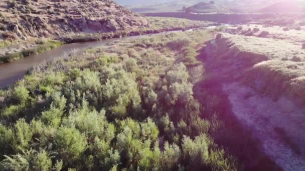 Drone Volar Sobre Arroyo Cañón Del Desierto Con Árboles Sagebrush — Vídeos de Stock