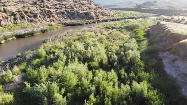 Cañón Del Desierto Con Vegetación Tráfico Autopista Arroyo Fangoso Fondo — Vídeos de Stock