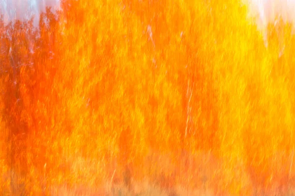 Abstrakcyjny Żywy Pomarańczowy Żółty Upadek Liści Tło Celowe Rozmycie — Zdjęcie stockowe