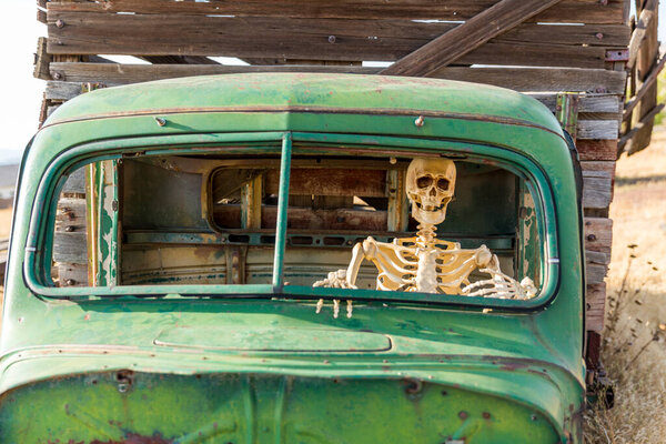 Скелет сидит в старом зеленом грузовике на мертвом травяном поле.