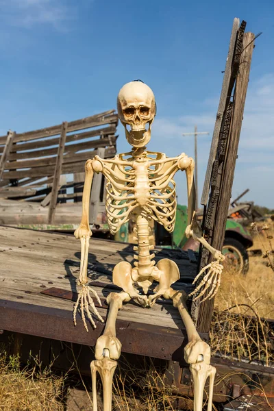 Skelet Zittend Een Oude Truck Bed Een Dood Gras Veld — Stockfoto