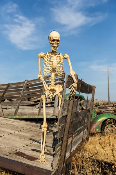 Esqueleto Uma Cama Caminhão Velho Campo Grama Morta — Fotografia de Stock