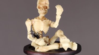 İskeletler evcil örümcekler kolları ve başları üzerinde sürünürler.