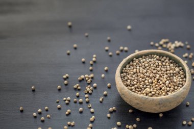 Kişniş tohumu tıbbi bitki sağlık kopya alan seçici odak siyah arka plan kozmetik gıda içerikler