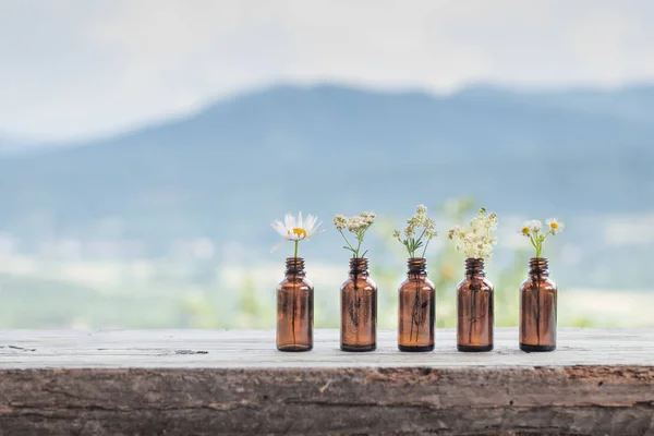 Olika vita blommor flaska naturliga rustika bakgrund. Ayurveda alternativ medicin Spa Herbal Health aromatiska aromaterapi fytoterapi homeopati apotek kropp vård avkoppling Beauty Concept Stockfoto