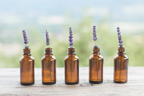 Lavendel flaska naturliga rustika bakgrund. Ayurveda alternativ medicin Spa Wellness växtbaserade hälsa välbefinnande aromatiska aromaterapi fytoterapi homeopati apotek kropp vård avkoppling Beauty Concept Royaltyfria Stockfoton