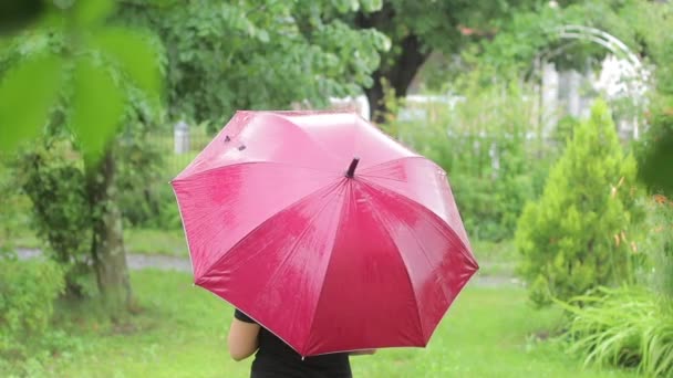 Maroon Umbrella Rain Drops Green Summer Background — Stock Video