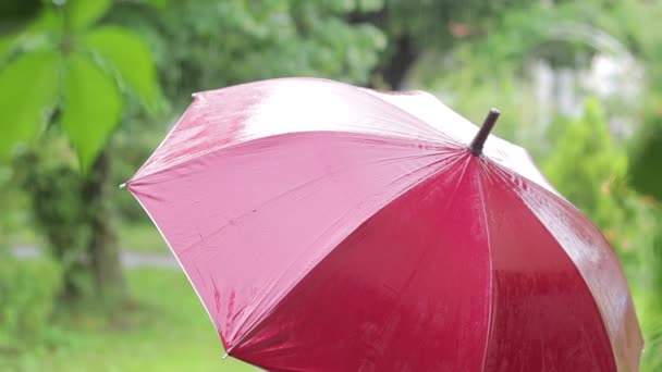 Parapluie marron gouttes de pluie vert fond d'été 