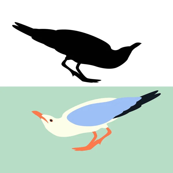 Seagull Sits Bird Vector Illustration Flat Style Silhouette — Stock Vector