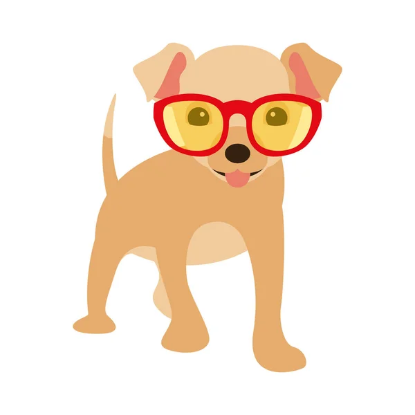Cachorro Cão Óculos Vetor Ilustração Plana — Vetor de Stock