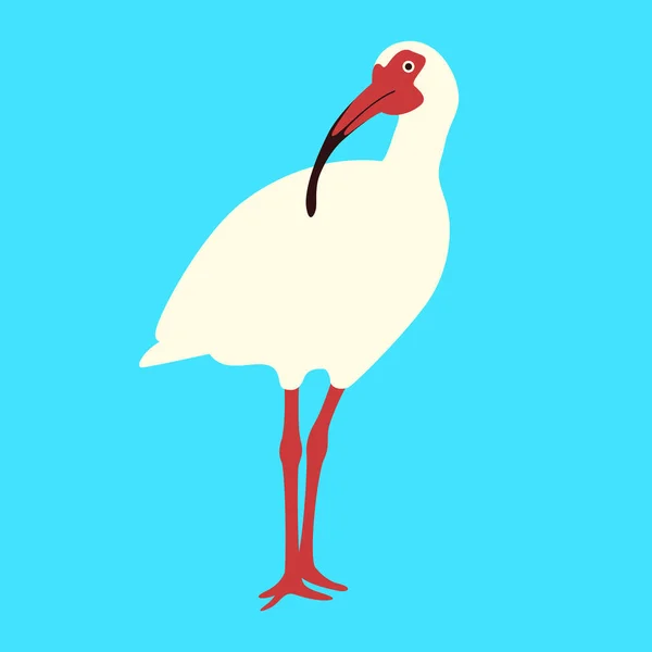 Branco ibis bird vector illustration flat style — Vetor de Stock