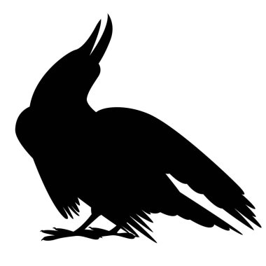 kuş karga vektör illüstrasyon siluet siyah profili 