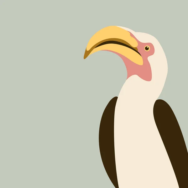 Czerwony - billed hornbill ptak wektor ilustracja płaskie — Wektor stockowy