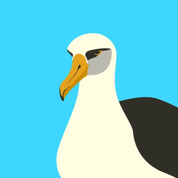 Albatros vector de aves ilustración frente estilo plano — Archivo Imágenes Vectoriales