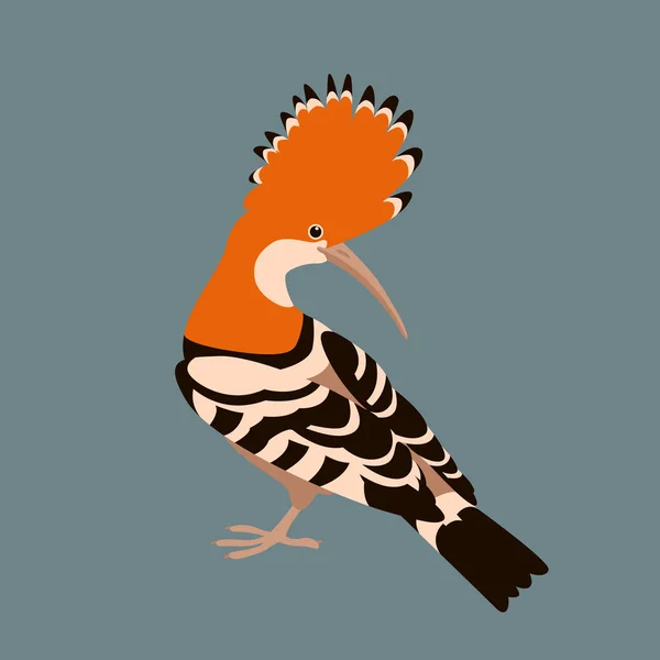 Wiedehopf Vogel Vektor Illustration flachen Stil Profil — Stockvektor
