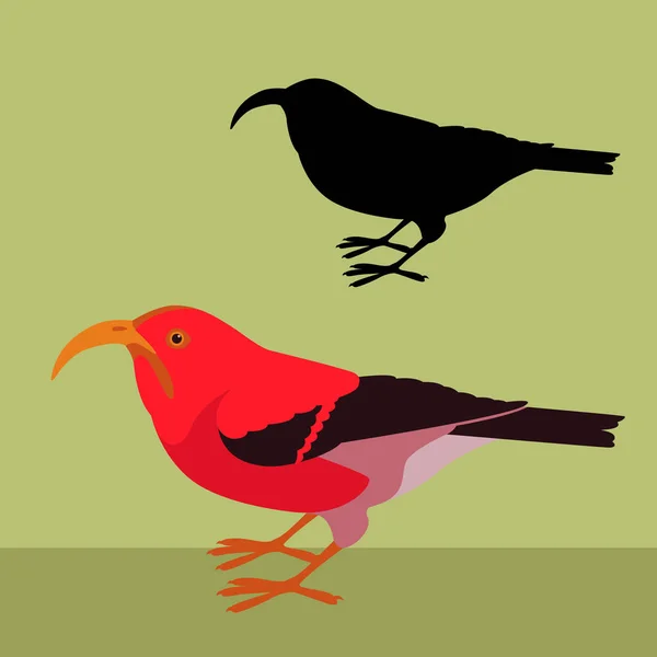 ・緋色のハワイミツスイ鳥ベクトル図の黒いシルエット — ストックベクタ