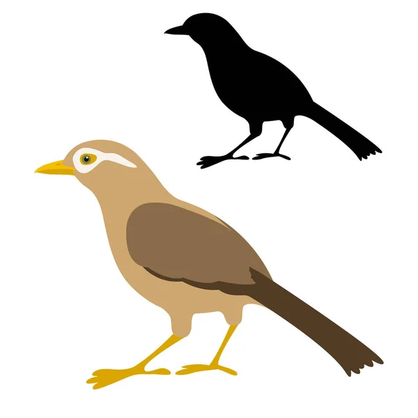 Hwamei chino vector de aves ilustración silueta de estilo plano negro — Vector de stock