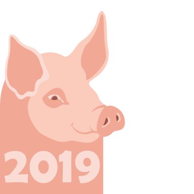 domuz 2019 yeni yıl vektör çizim düz 