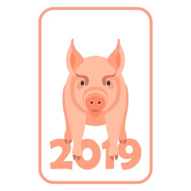 domuz 2019 yeni yıl vektör çizim düz 