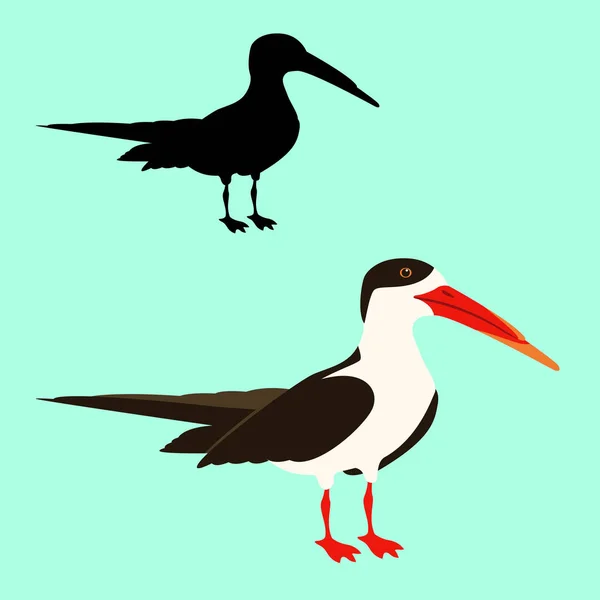 Black skimmer bird vector illustration flat style  silhouette — Stock Vector