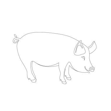 vektör çizim çizim için profil boyama domuz 