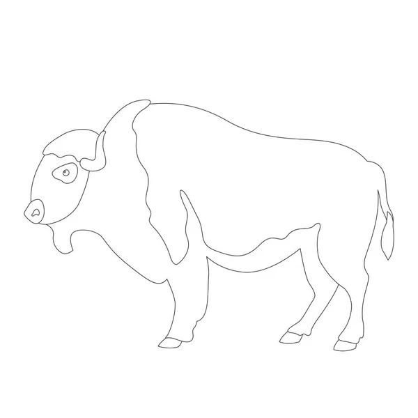 Buffalo vektor illustration färg linjeritning profil sida — Stock vektor