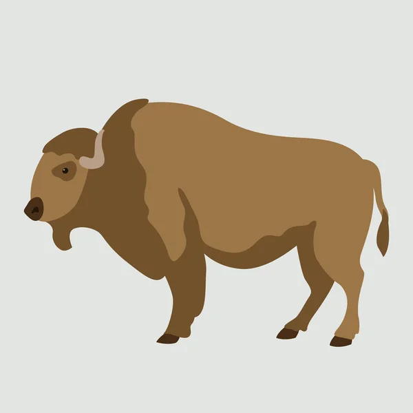 Dla dorosłych buffalo wektor ilustracja płaski profil — Wektor stockowy