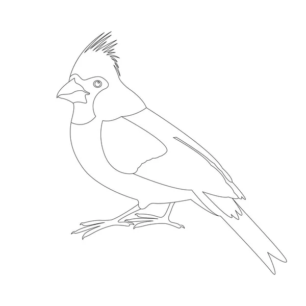 Amarillo pájaro cardinal vector ilustración colorear libro — Vector de stock