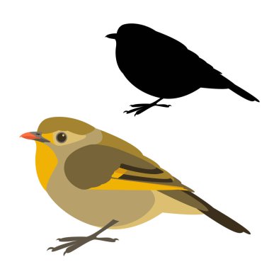 Kırmızı gagalı leiothrix kuş vektör çizim düz stil siyah siluet set