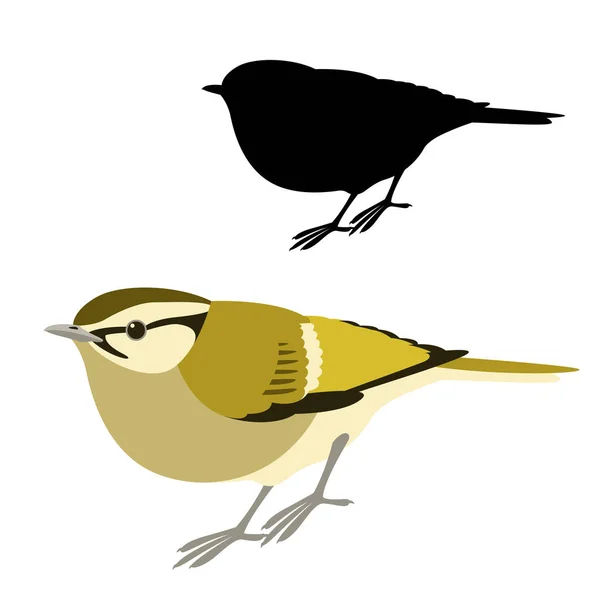Citron - paruline rousse illustration vectorielle oiseau style plat silhouette — Image vectorielle