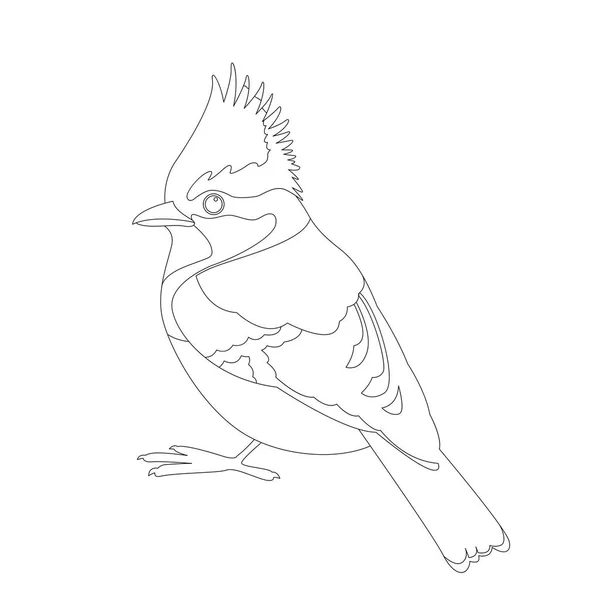 Himalayan tit bird vector illustration  coloring book line — Stock vektor