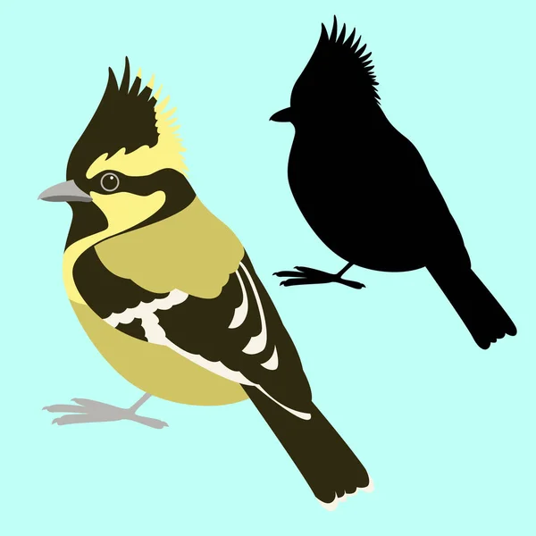 Himalaya mezen vogel vector illustratie vlakke stijl zwart silhouet — Stockvector