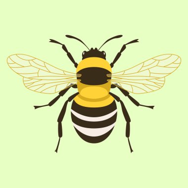 humblebee vektör çizim düz stil ön yüzü 