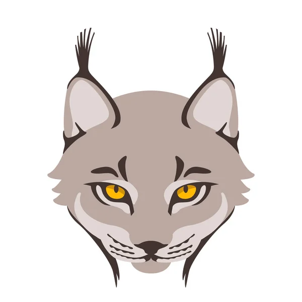Lynx čelí vektorové ilustrace plochý přední — Stockový vektor