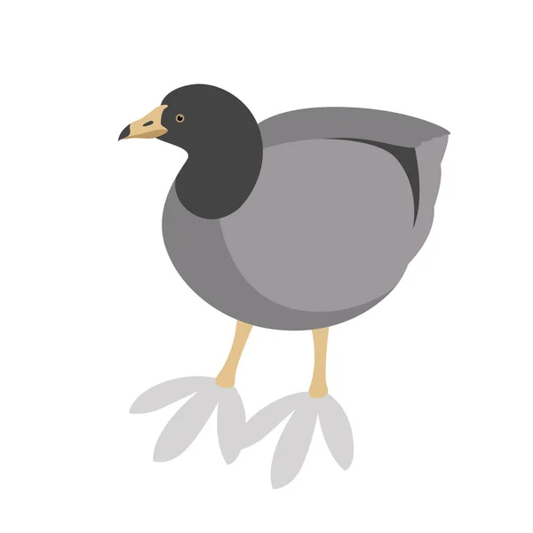 American coot profil côté vecteur illustration plat — Image vectorielle