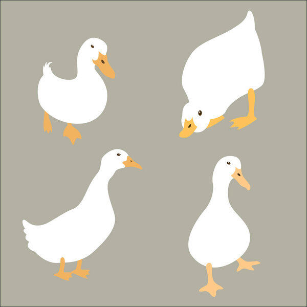 duck white set векторная иллюстрация плоского стиля
