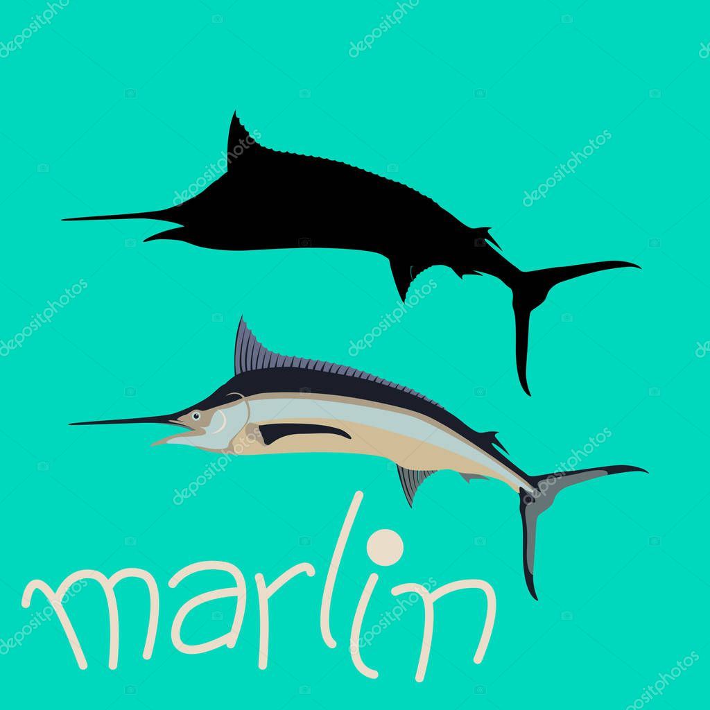 Marlin  fish vector illustration flat style black silhouette
