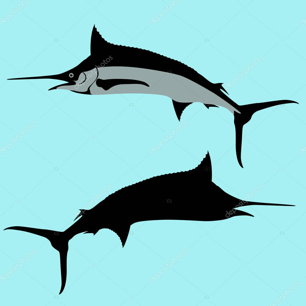 Marlin  fish vector illustration flat style black silhouette