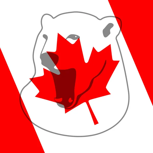 Face ours polaire sur fond drapeau canada — Image vectorielle