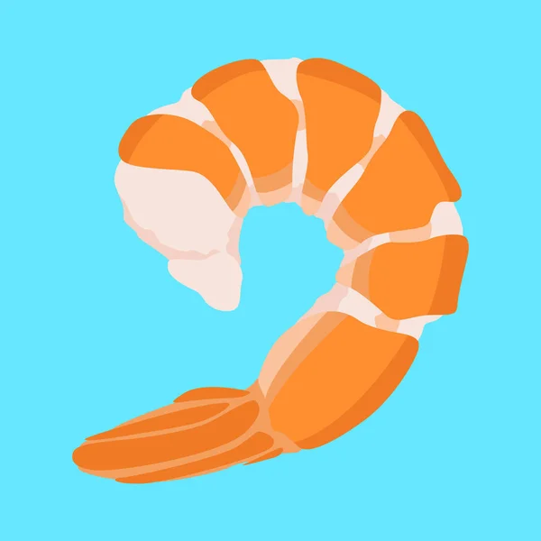 Seafood garnalen vlees vector illustratie vlakke stijl — Stockvector