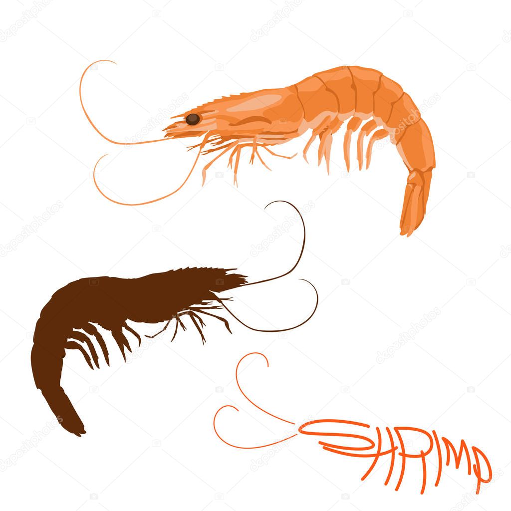 Shrimp  vector illustration flat style logo profile side