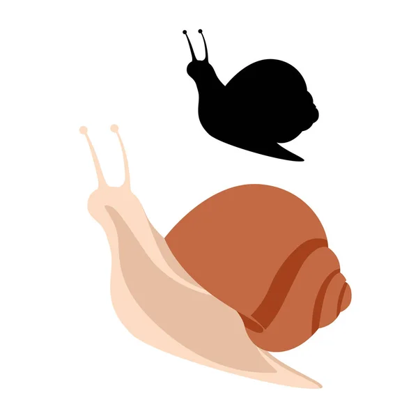 Snail vector illustration  flat style black silhouette — Stock Vector