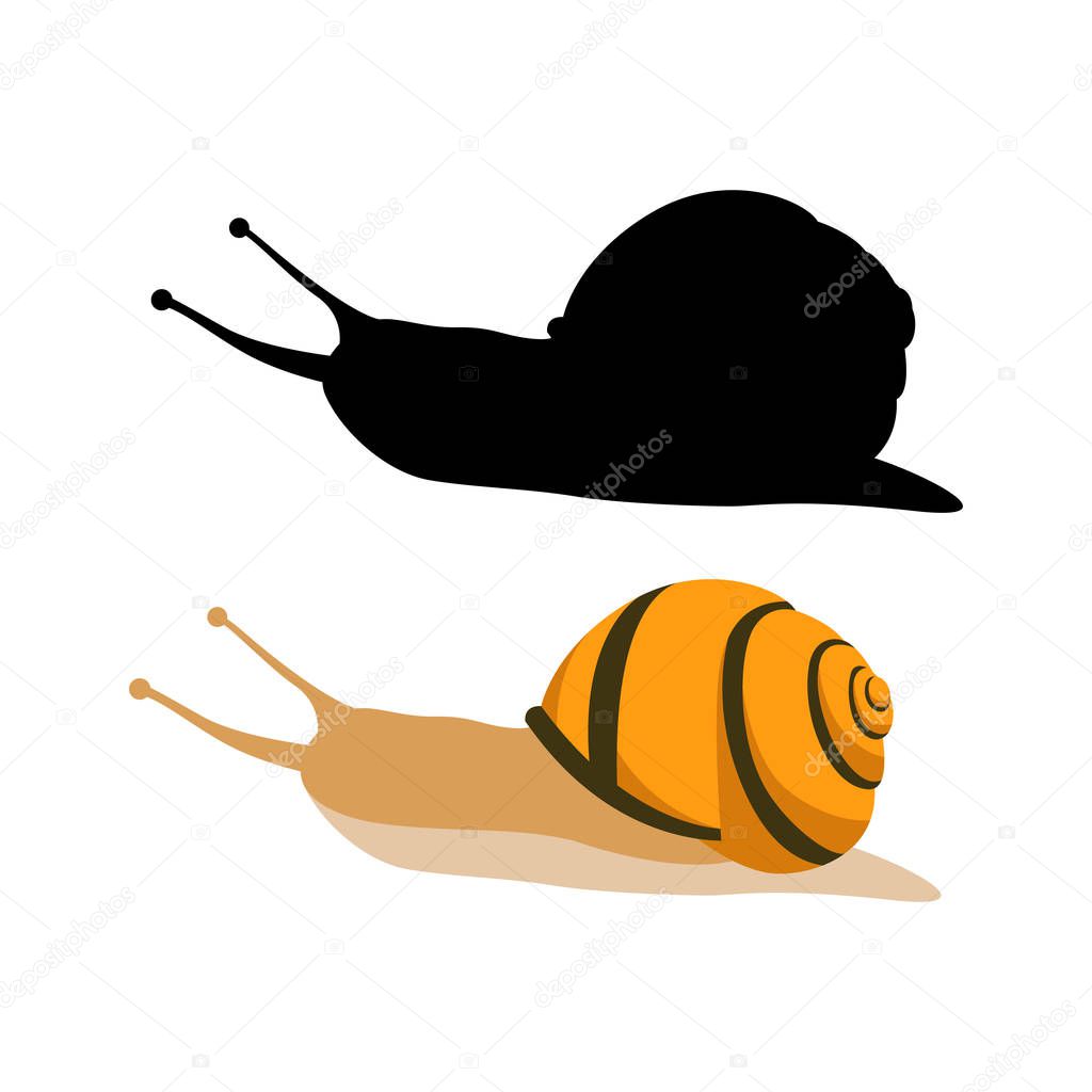 snail vector illustration  flat style black silhouette 