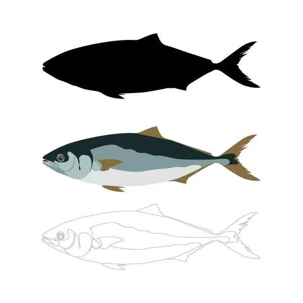 Fisch Thunfisch Vektor Illustration flachen Stil schwarze Silhouette — Stockvektor