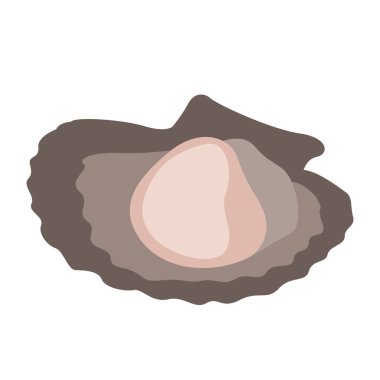 Taze Venüs kabuk vektör çizim düz emay