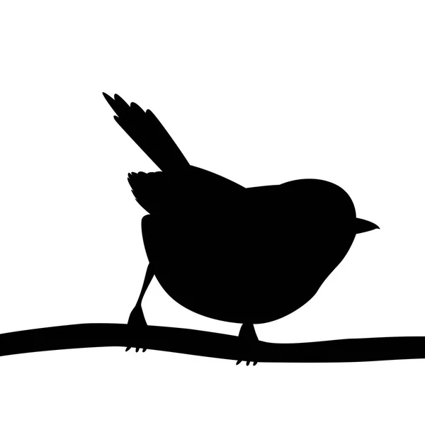 Illustration vectorielle fulvetta poitrine dorée silhouette noire — Image vectorielle