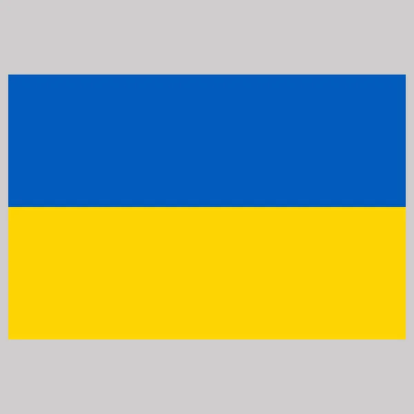 Ukraine  flag on gray background vector illustration — Stock Vector