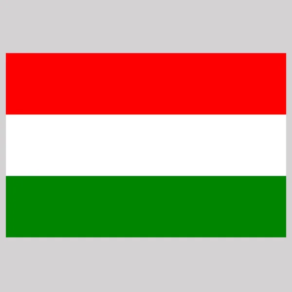Венгерский Флаг Сером Фоне Векторная Иллюстрация Плоская — стоковый вектор