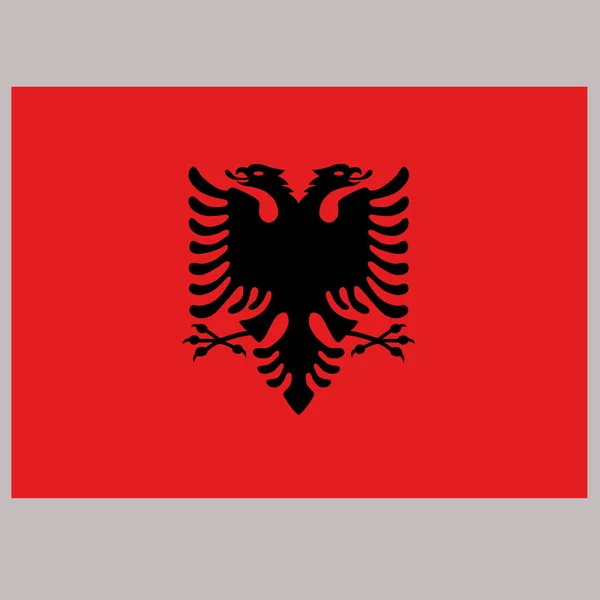Albánie vlajka na šedém pozadí vektorové ilustrace — Stockový vektor
